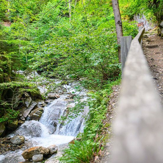 Ein schmaler Pfad führt durch einen dichten Wald, wo ein kleiner Wasserfall über Felsen in einen klaren Bach stürzt.