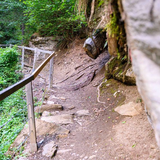 Ein Steinpfad im Wald mit hölzernem Geländer und einem auf einem Felsen gelehnten Baumstamm. Bäume und Pflanzen umgeben das Gebiet.