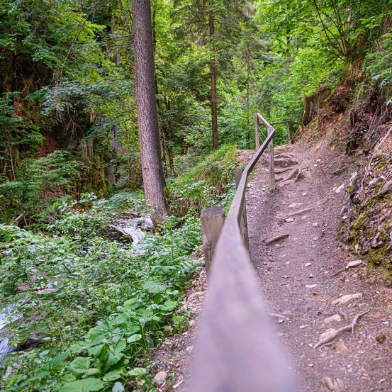 Ein Wanderweg mit Stufen und einem hölzernen Geländer am Hang neben einem fließenden Bach, umgeben von üppiger Grün.