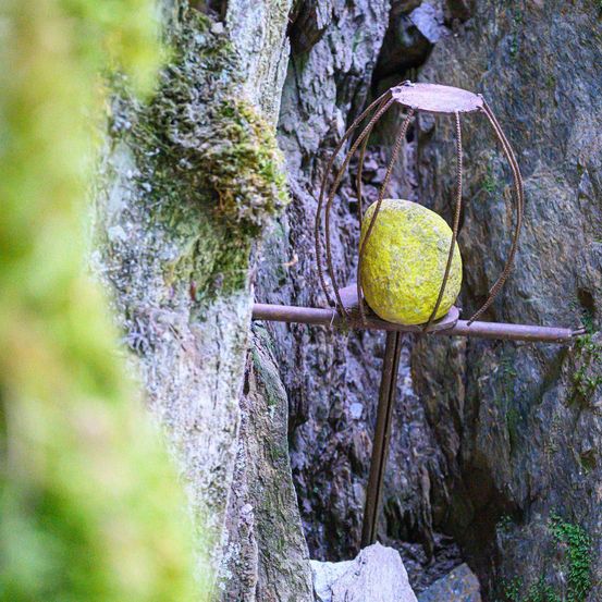 Ein gelber Stein wird von einem rostigen Metallrahmen gehalten, der teilweise in einer moosbedeckten Felswand eingebettet ist.