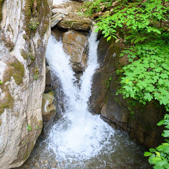 Ein Wasserfall stürzt von einem felsigen Abhang herab, umgeben von üppigem grünem Laub. Das Wasser spritzt in einen Pool am Fuße des Abhangs.