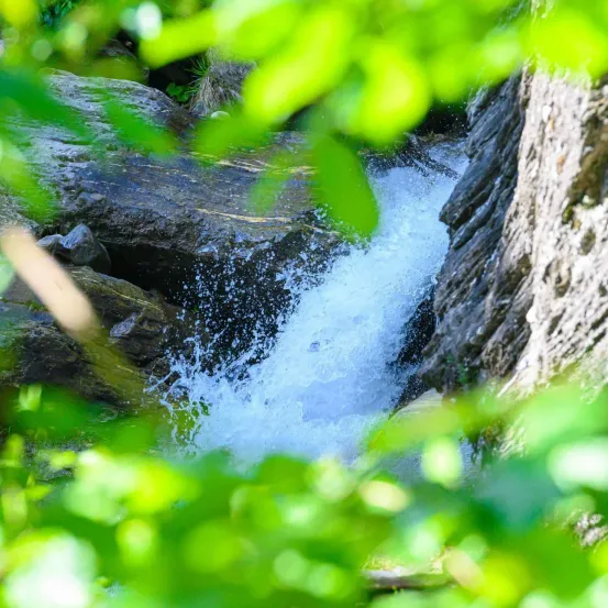 Ein Wasserfall stürzt in einem Wald über Felsen und ist von üppigen grünen Blättern umgeben. Das Wasser spritzt, wenn es auf die Felsen trifft.