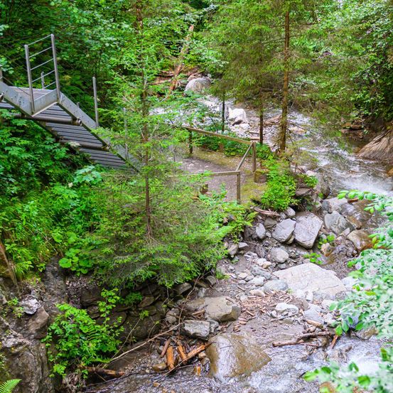 Ein Wanderweg mit einer Metalltreppe führt durch einen dichten Wald mit einem kleinen Bach, der daneben fließt.