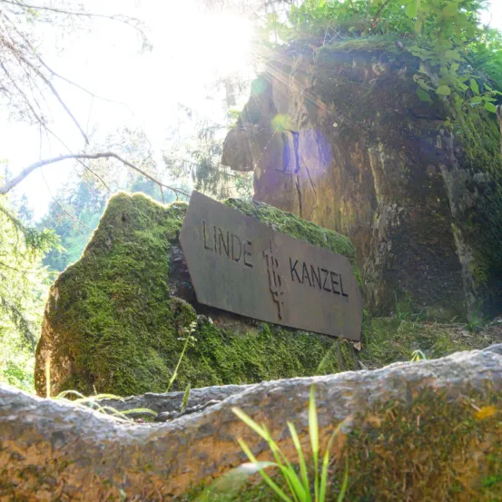 Ein moosbedeckter Felsen im Wald mit einem Schild, das 'LINDE 18 KANZEL' steht. Die Sonne scheint hell und beleuchtet das Grün.