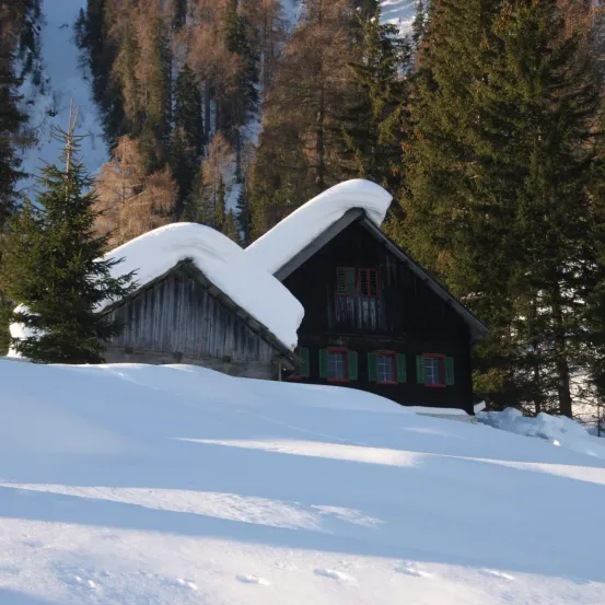 Eine schneebedeckte Hütte mit grünen Fenstern steht in einer verschneiten Landschaft, umgeben von Kiefern und einem verschneiten Berghintergrund.
