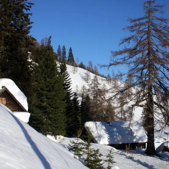 Eine verschneite Landschaft mit Kiefern und zwei Holzhütten. Im Hintergrund befindet sich ein schneebedeckter Berg mit einem klaren blauen Himmel.