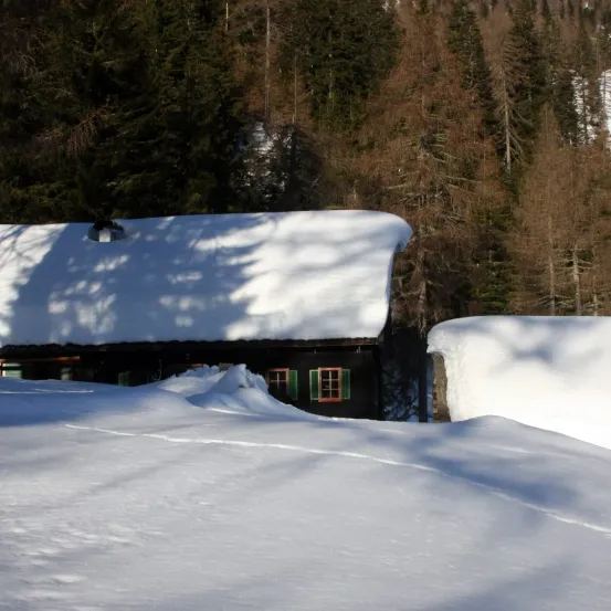 Ein schneebedecktes Haus mit einem Schornstein auf dem Dach und grünen Fenstern ist von Schnee umgeben. Die Umgebung ist dicht bewaldet.