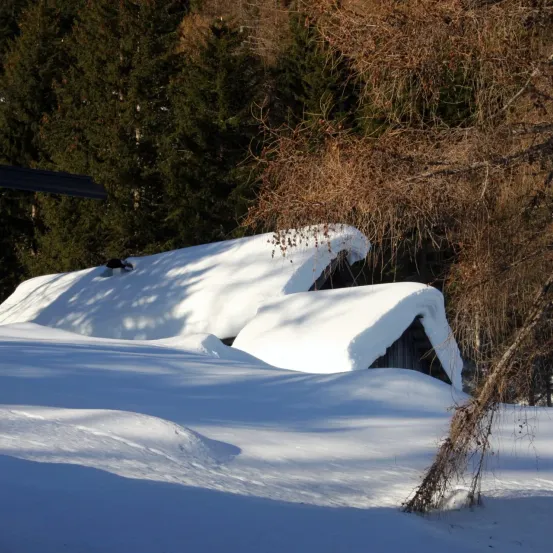 Eine verschneite Landschaft mit einem kleinen Haus, das von Schnee bedeckt ist, umgeben von Bäumen im Hintergrund.