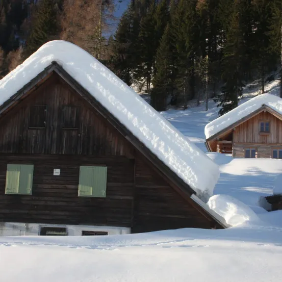 Ein schneebedecktes Holzchalet mit zwei grünen Fenstern, umgeben von verschneiten Bäumen in einer Winterlandschaft.