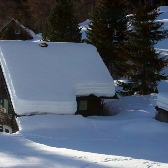 Eine mit Schnee bedeckte Holzhütte mit einem kleinen Fenster, umgeben von Tannenbäumen in einer verschneiten Landschaft.