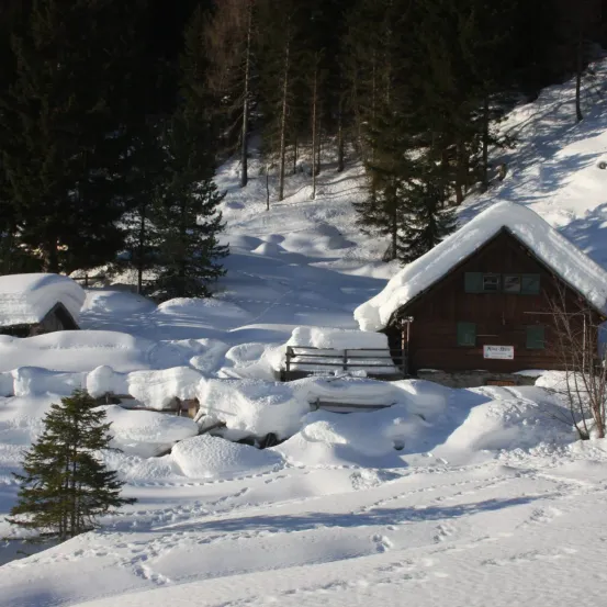 Zwei kleine hölzerne Chalets, bedeckt mit Schnee, stehen auf einem verschneiten Berghang mit Kiefern im Hintergrund.