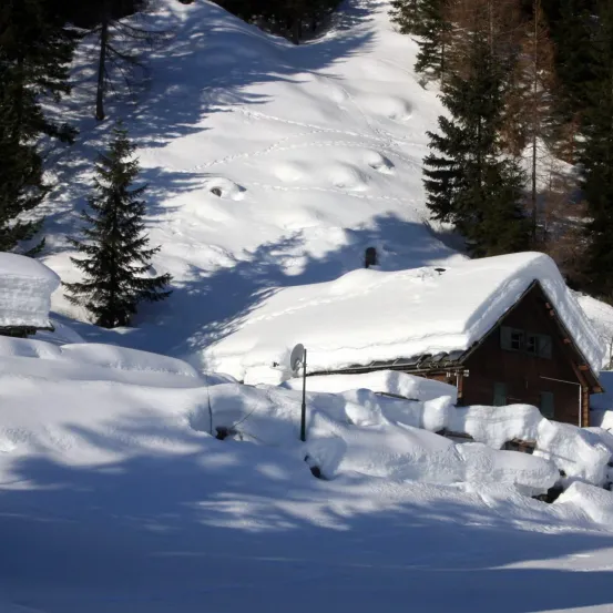 Ein verschneiter Berg mit Kiefern und einem schneebedeckten Haus, mit einer Satellitenschüssel in der Nähe.