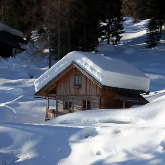 Eine mit Schnee bedeckte Holzhütte befindet sich in einer verschneiten Landschaft, umgeben von Kiefern. Die Hütte hat ein geneigtes Dach, eine Veranda und Fenster.
