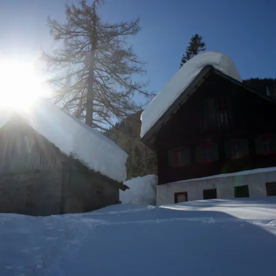 Zwei schneebedeckte Holzhäuser mit einem hohen Baum im Hintergrund unter einer strahlenden Sonne.