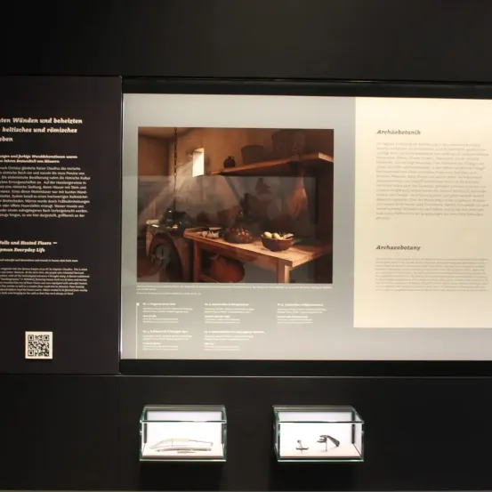 Eine Museumsausstellung zeigt ein Bild eines Zimmers mit Tisch und Holzregal. Die Ausstellung enthält Informationen zum römischen Alltagsleben und zur archäologischen Botanik.