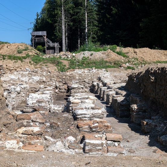 Eine archäologische Stätte mit freiliegenden Steinstrukturen, umgeben von einem Wald mit einem hölzernen Turm. Das Gelände ist mit Erde und Steinen bedeckt, und es gibt einige Erdhaufen.