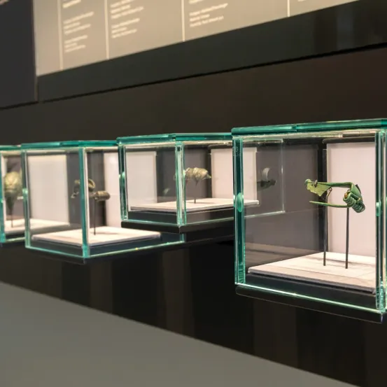 Fünf transparente Glasvitrinen sind aufgereiht, jede zeigt verschiedene metallische Artefakte, wahrscheinlich antik, möglicherweise Schmuck oder Waffen. Der Hintergrund ist schwarz, und die Vitrinen sind beleuchtet.
