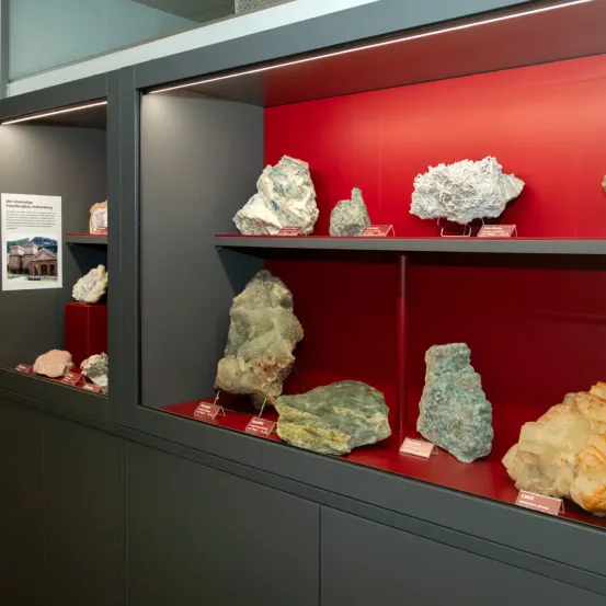 Ein Vitrinenschrank mit rotem Hintergrund zeigt verschiedene Mineralien. An jedem Mineral sind Etiketten angebracht, die ihre Namen anzeigen.