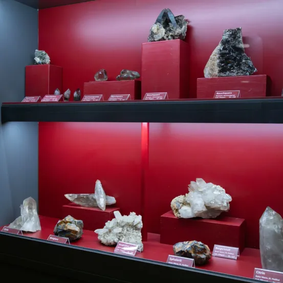 Eine Ausstellung verschiedener Mineralien und Kristalle auf roten Regalen vor einer roten Wand. Etiketten zeigen Namen und Fundorte an. Die Mineralien variieren in Farbe und Größe, einige weisen kristalline Strukturen auf.