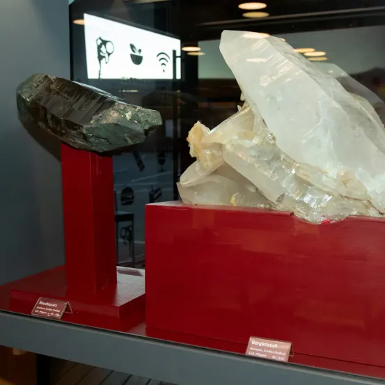 Zwei Kristallexemplare, die in einem Museum ausgestellt sind. Links ist ein großer schwarzer Kristall, rechts eine weiße Cluster. Beide stehen auf roten Sockeln mit Etiketten. Dahinter ist eine Glaswand mit einem Monitor.