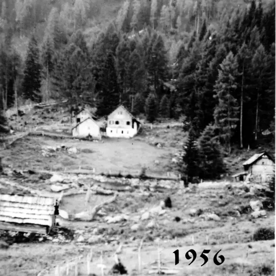 Schwarz-Weiß-Foto einer ländlichen Landschaft aus dem Jahr 1956, mit mehreren kleinen Häusern, einem Feld und dichtem Wald.