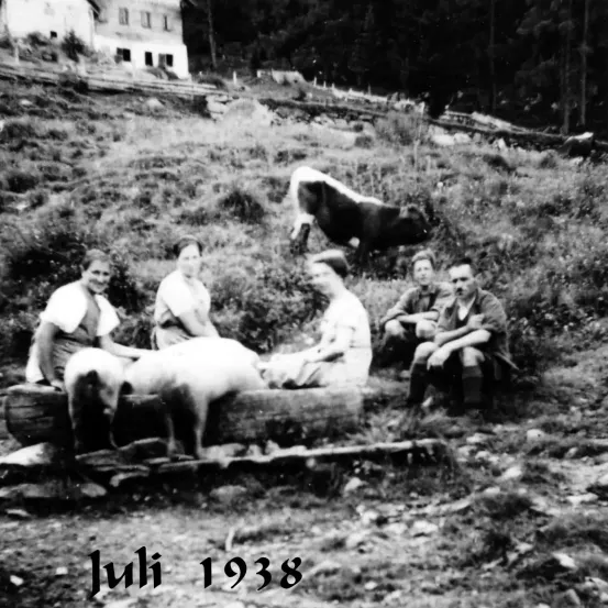 Ein Schwarz-Weiß-Foto vom Juli 1938 zeigt vier Personen, die in der Nähe von Schweinen auf einem Baumstamm sitzen, während eine Kuh im Hintergrund grast.