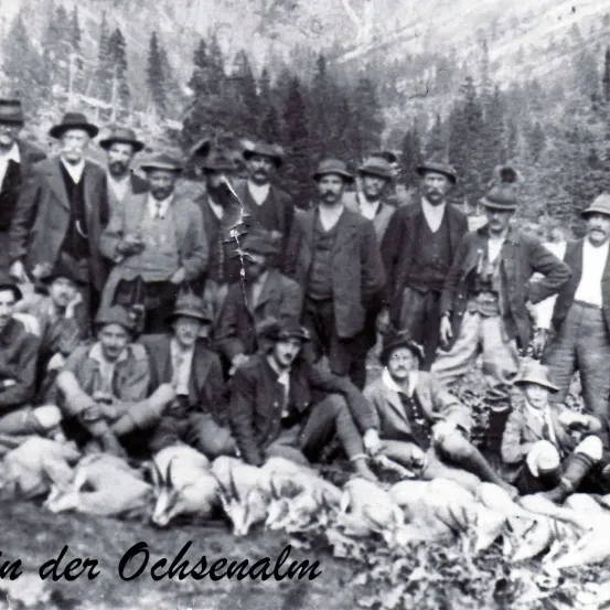 Ein altes Foto zeigt eine Gruppe von Männern, die in einem Wald stehen und sitzen, mit toten Tieren darunter. Sie sind in formeller Kleidung gekleidet. Das Bild trägt den Titel 'in der Ochsenalm.'