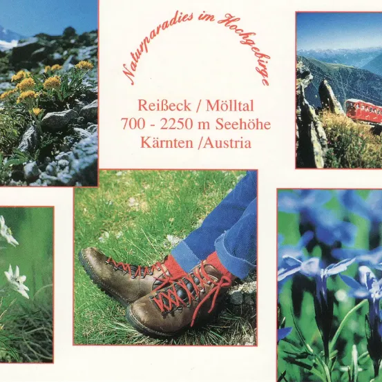 Bergbilder mit Wildblumen, einer Person in Wanderschuhen und einem roten Zug auf der Strecke. Ort: ReiBeck/Möltal, 700-2250m, Kränten, Österreich.