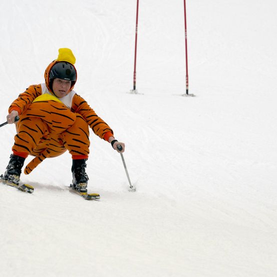Ein Skifahrer in einem Tigerkostüm fährt mit Skistöcken einen schneebedeckten Hang hinunter. Im Hintergrund befinden sich zwei rote Pfosten.