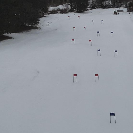 Eine verschneite Landschaft mit Bäumen und einer Ski-Strecke, die durch Fahnen gekennzeichnet ist, mit einer Bank in der Ferne sichtbar.