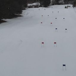 Eine verschneite Landschaft mit Bäumen und einer Ski-Strecke, die durch Fahnen gekennzeichnet ist, mit einer Bank in der Ferne sichtbar.