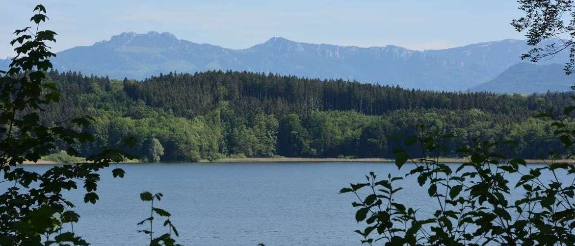 Ein ruhiger See umgeben von üppigem grünem Laub und majestätischen Bergen unter einem klaren blauen Himmel.