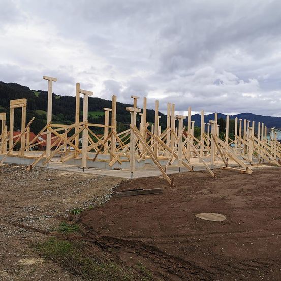 Bild enthält, Wood, Lumber, Outdoors, Construction, Nature