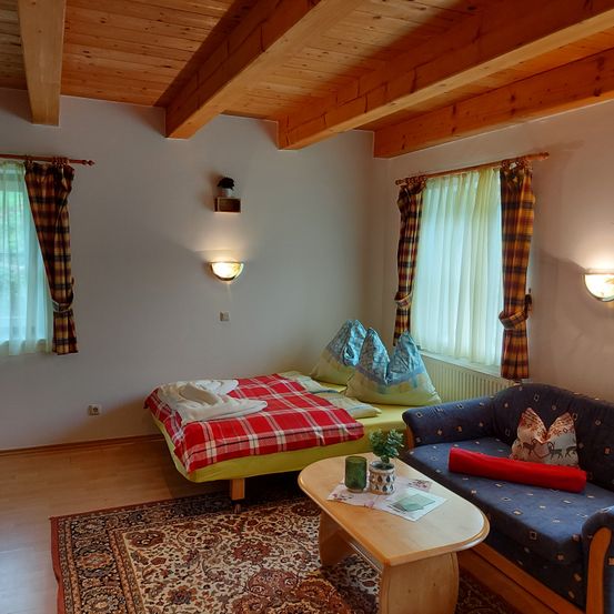 Bild enthält, Furniture, Living Room, Couch, Interior Design, Wood, Floor, Flooring, Hardwood, Home Decor, Cushion