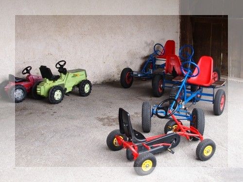 Bild enthält, Kart, Transportation, Vehicle, Machine, Wheel, Buggy, Lawn, Lawn Mower, Plant, Tool