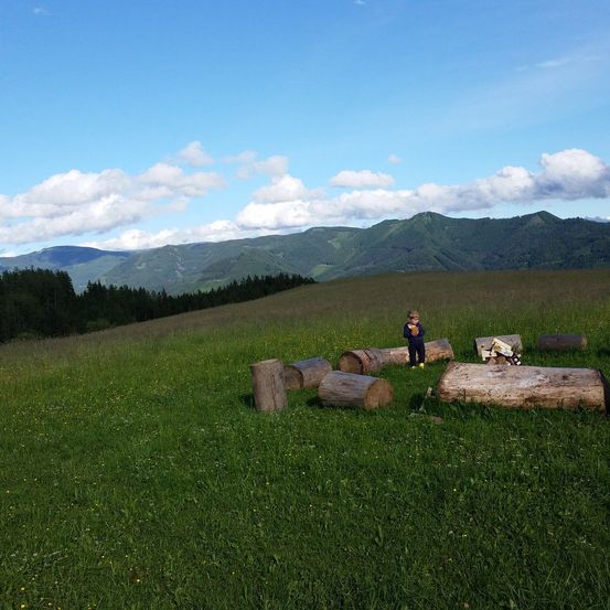 Bild enthält, Tree, Grass, Wilderness, Field, Grassland, Vegetation, Landscape, Meadow, Land, Sky