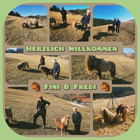 Bild enthält, Adult, Male, Man, Person, Bull, Soil, Shoe, Pig, Photography, Collage