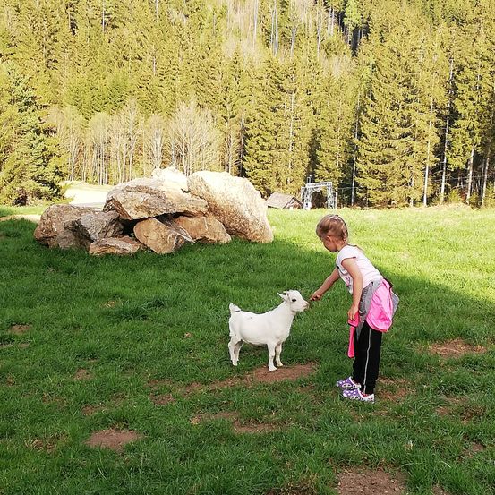 Bild enthält, Grass, Tree, Park, Person, Photography, Portrait, Child, Female, Girl, Vegetation