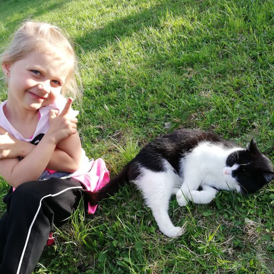 Bild enthält, Grass, Lawn, Face, Head, Person, Portrait, Finger, Cat, Kitten, Grassland