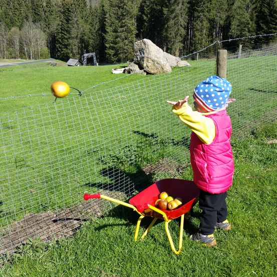 Bild enthält, Grass, Person, Lawn, Hat, Field, Grassland, Nature, Outdoors, Backyard, Soil