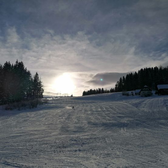 Bild enthält, Fir, Tree, Nature, Outdoors, Scenery, Conifer, Person, Sky, Sunlight, Pine