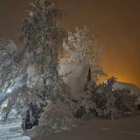 Bild enthält, Nature, Outdoors, Weather, Ice, Shelter, Winter, Snow, Plant, Tree, Housing