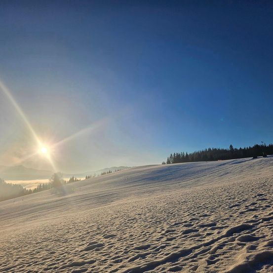 Bild enthält, Nature, Outdoors, Sky, Sun, Landscape, Scenery, Sunlight, Cloud, Tree, Vegetation