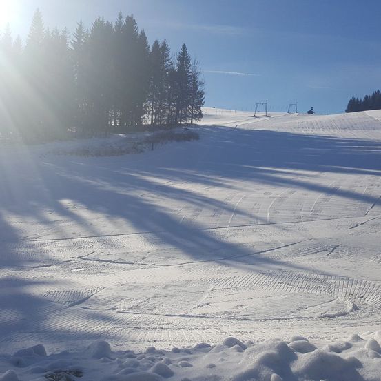 Bild enthält, Tree, Nature, Sky, Sun, Scenery, Slope, Landscape, Sunlight, Piste, Vegetation