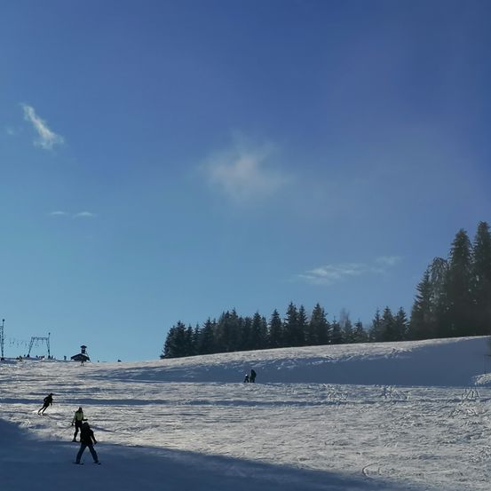 Bild enthält, Tree, Fir, Nature, Outdoors, Person, Piste, Snow, Scenery, Pine, Skiing