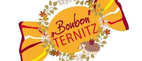Eine Illustration einer gelben Bonbonverpackung mit 'Bonbon Ternitz' in Rot geschrieben. Ein Igel und eine Erdbeere schmücken die Mitte.