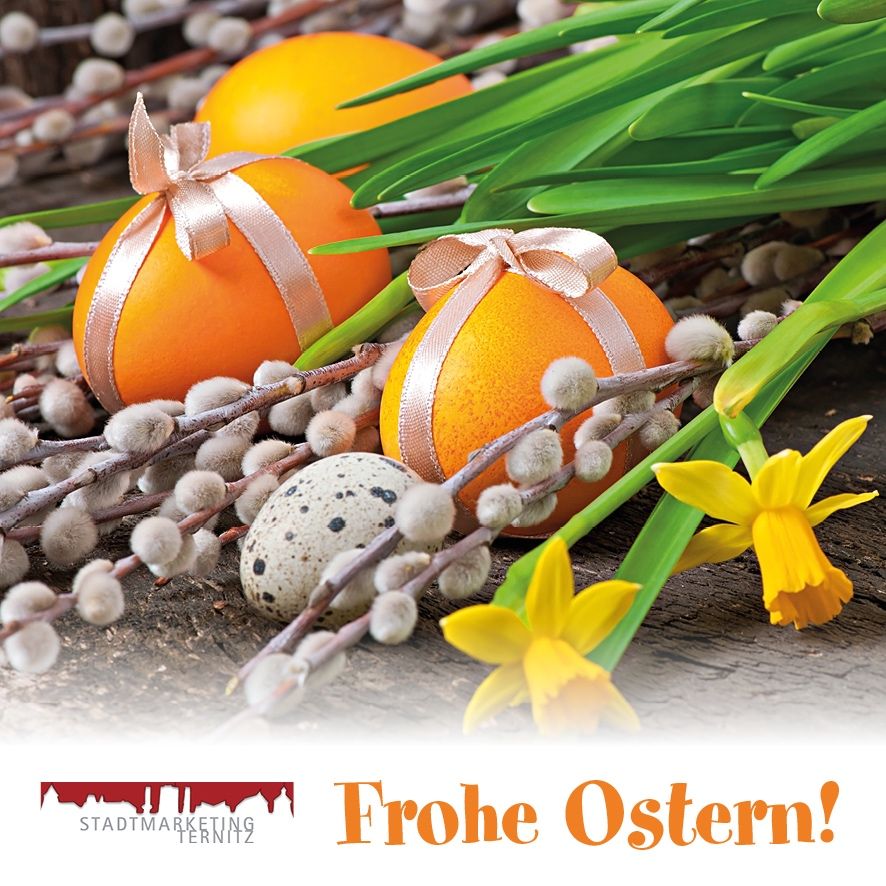 Dekorierte Ostereier auf einer Holzoberfläche mit Weidenkätzchen und gelben Narzissen. Unten ist der deutsche Gruß 'Frohe Ostern!' zu sehen.