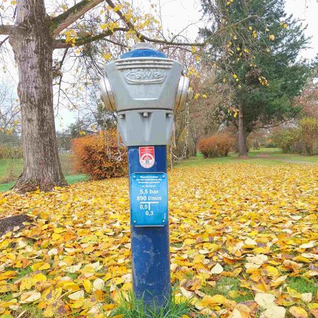 v1_migrated_image_4405891