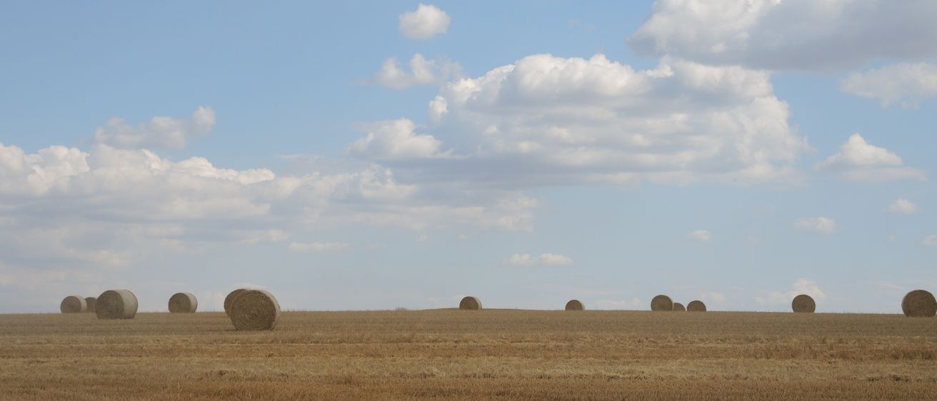 Ein Feld mit trockenem Gras und einigen Heuballen unter einem blauen Himmel mit verstreuten Wolken.