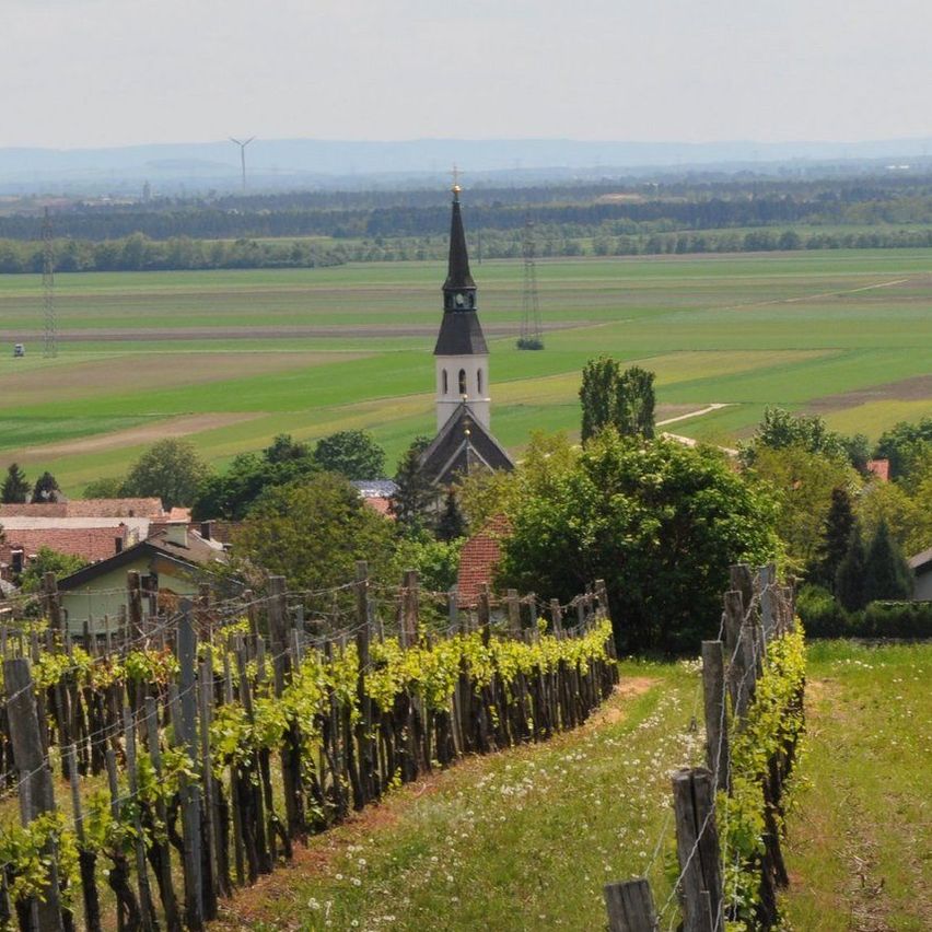 Bild enthält, Nature, Outdoors, Countryside, Rural, Farm, Vineyard, Architecture, Building, Windmill